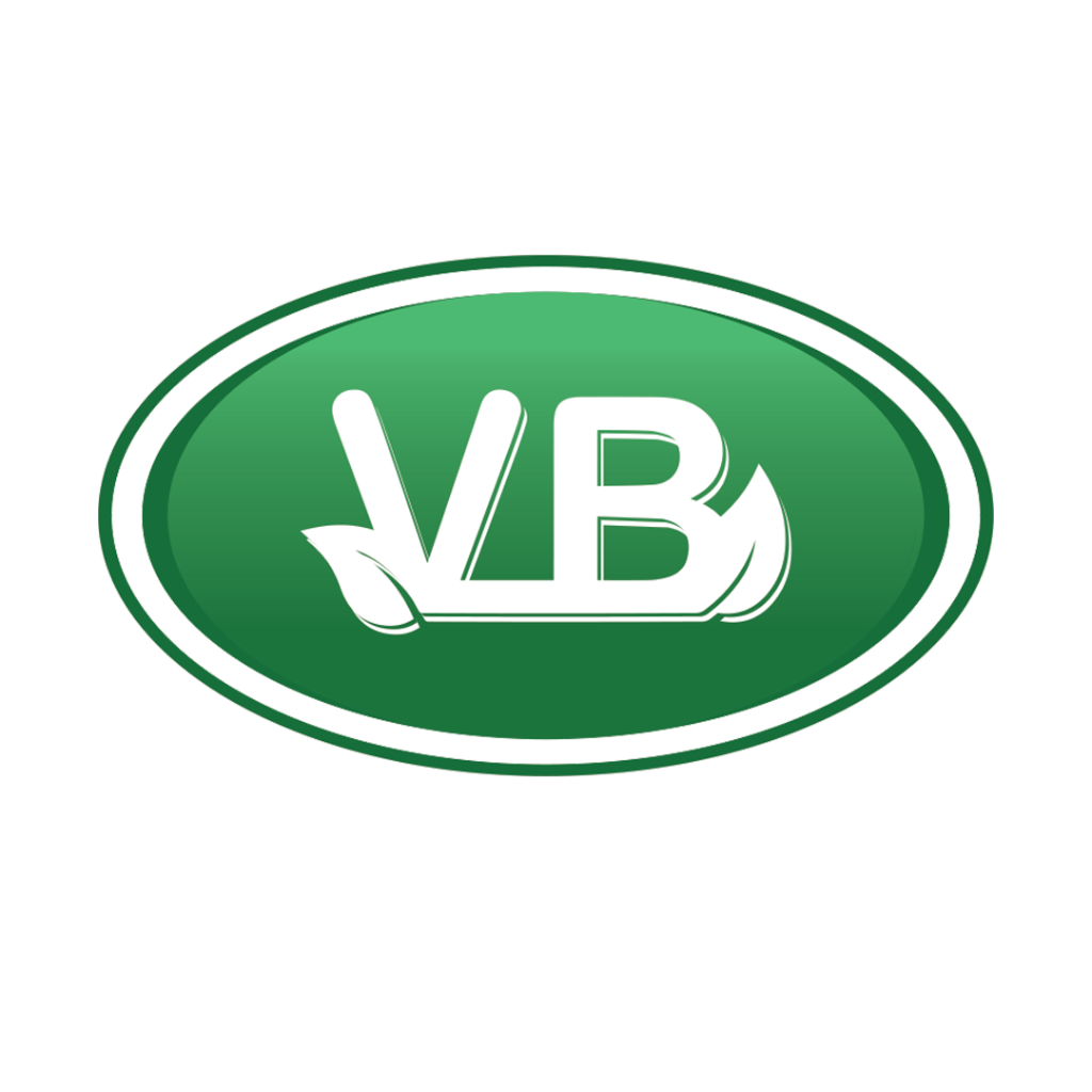 Viswabhrahmas Logo